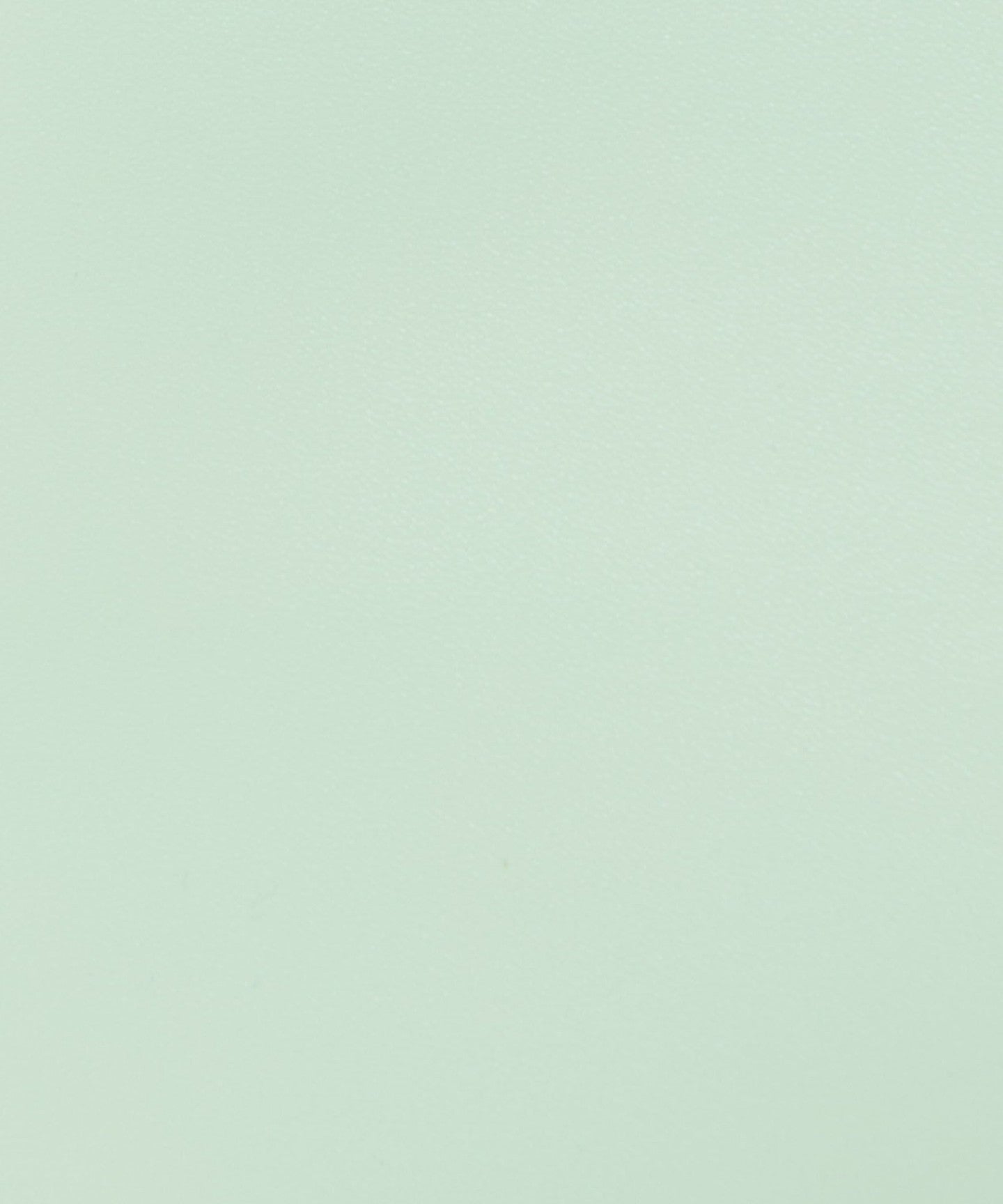 66325000004-d20.jpg