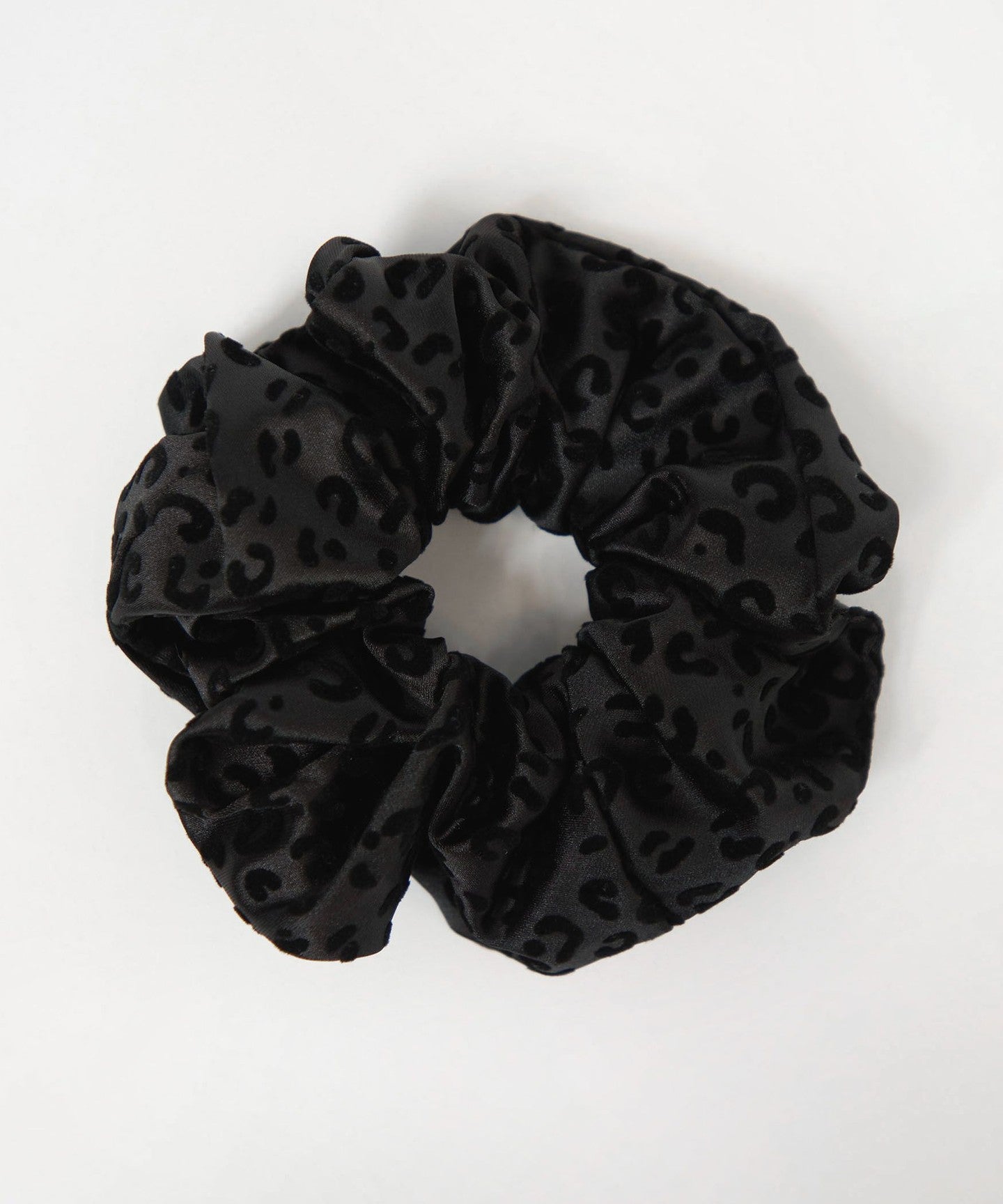66336000001-09.jpg