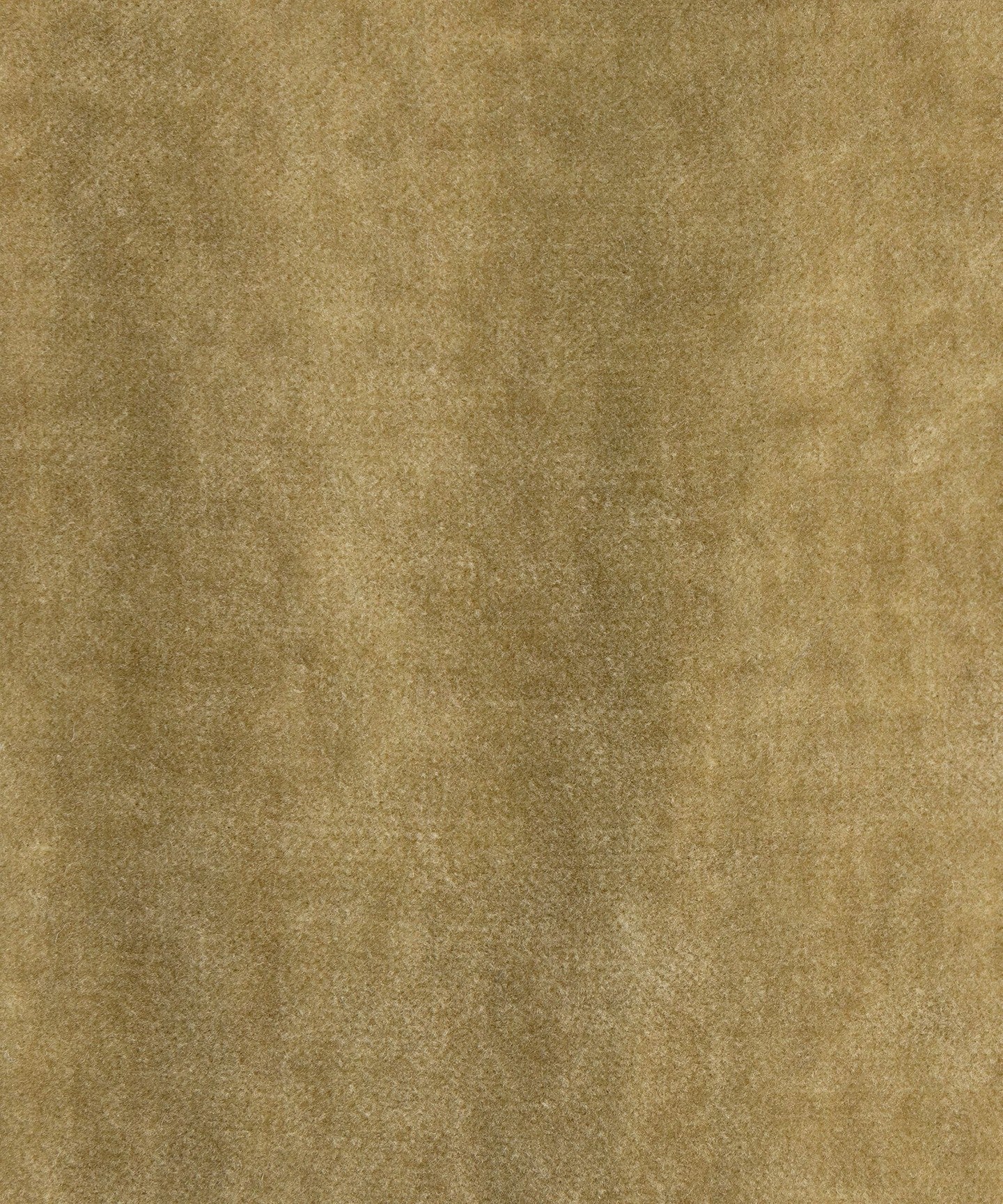 79252300412-d08.jpg