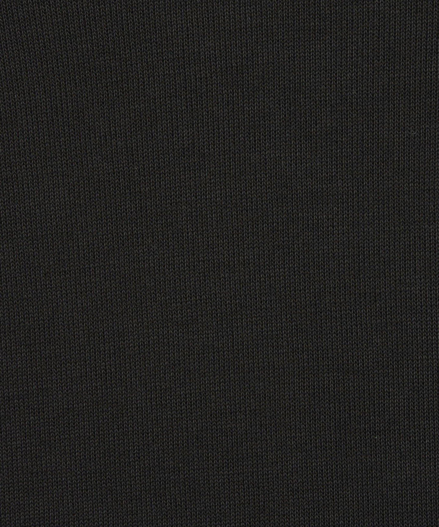 81121000000-d42.jpg