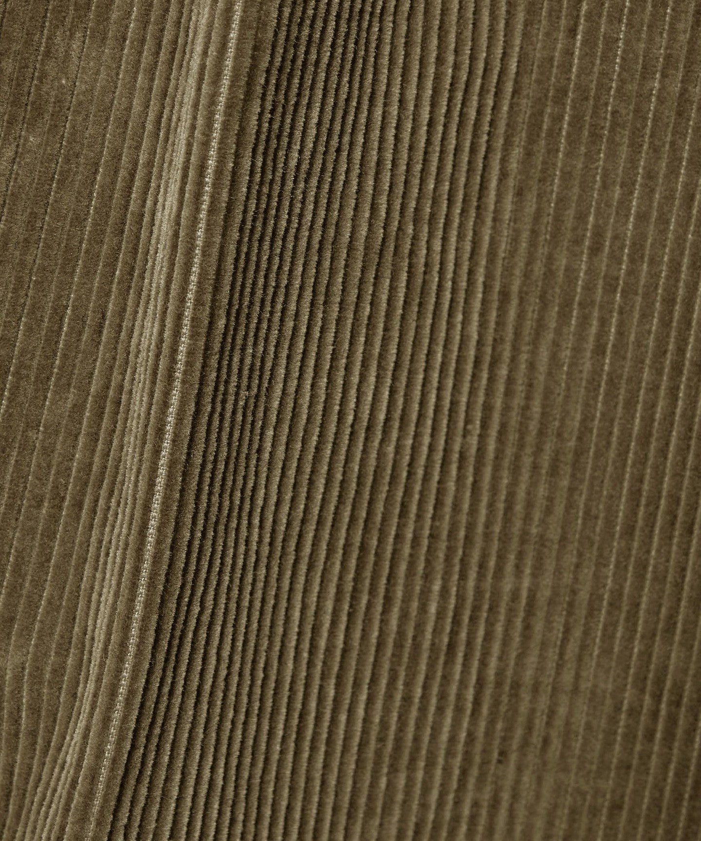 81141862501-d45.jpg