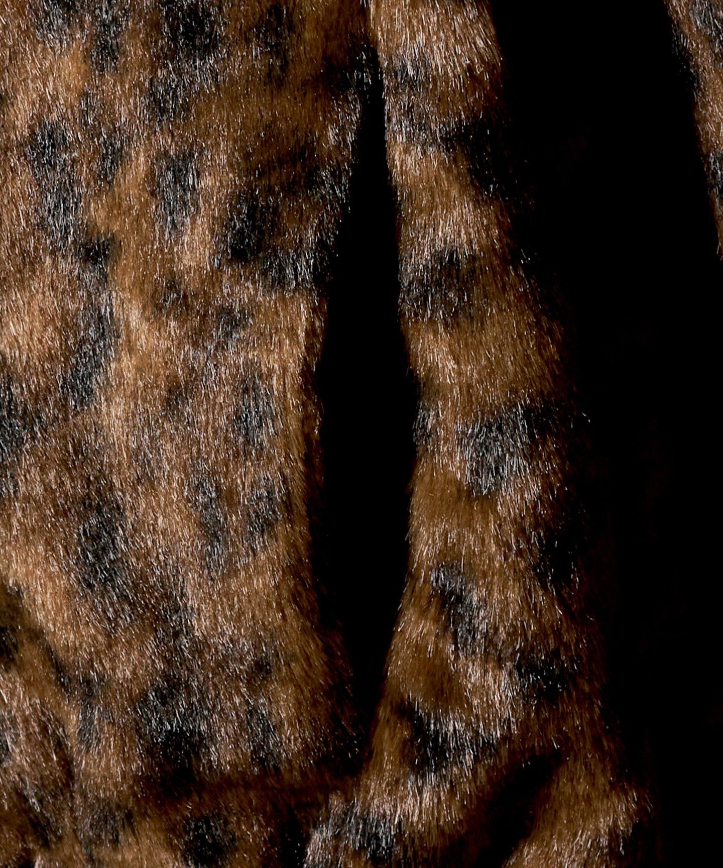 86251000005-d08.jpg