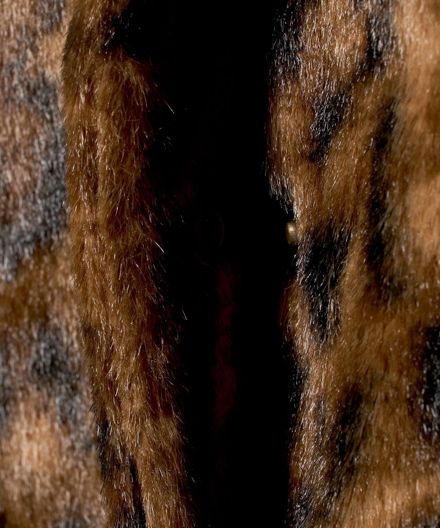 86251000005-d09.jpg