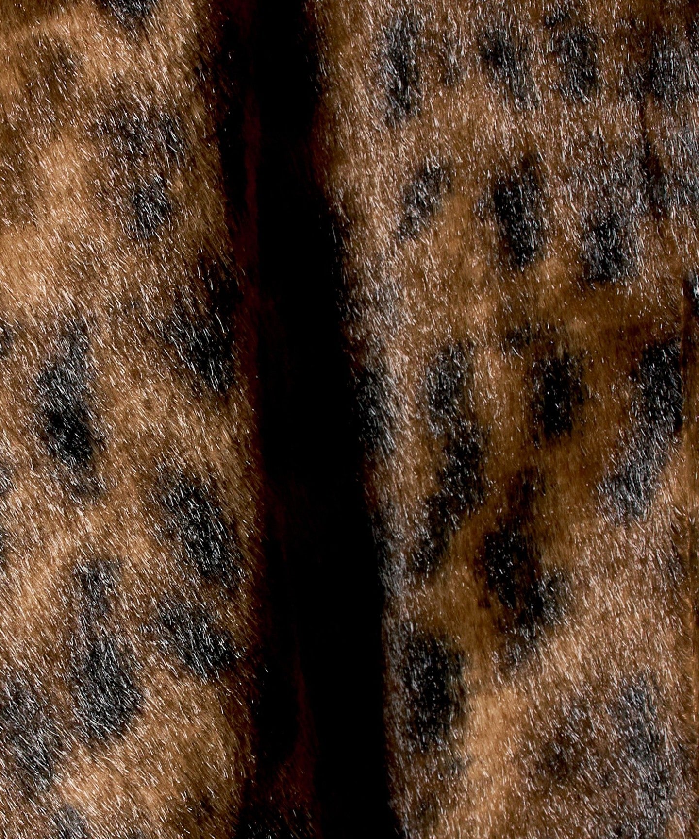 86251000005-d12.jpg