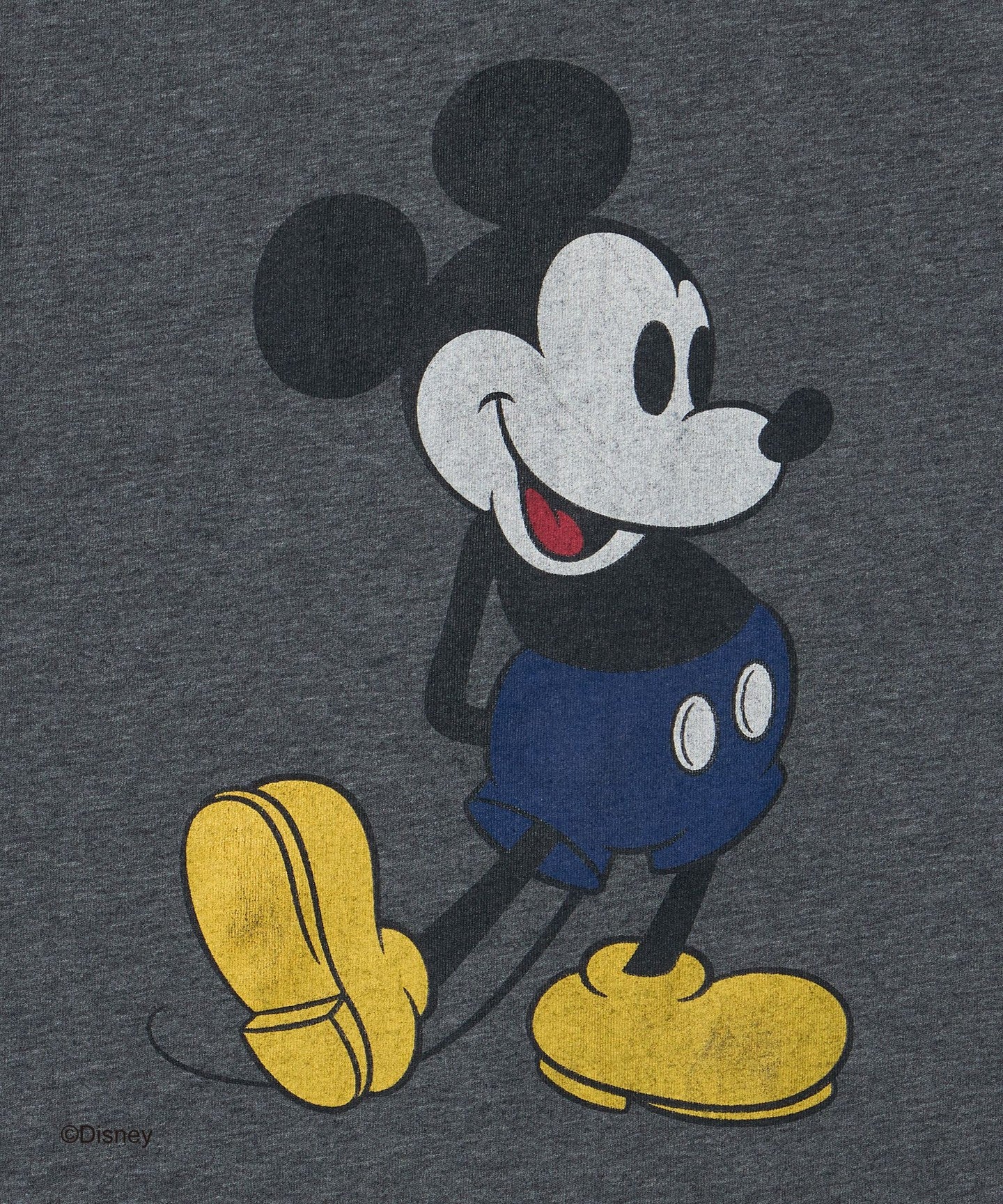 86665000102-d09.jpg