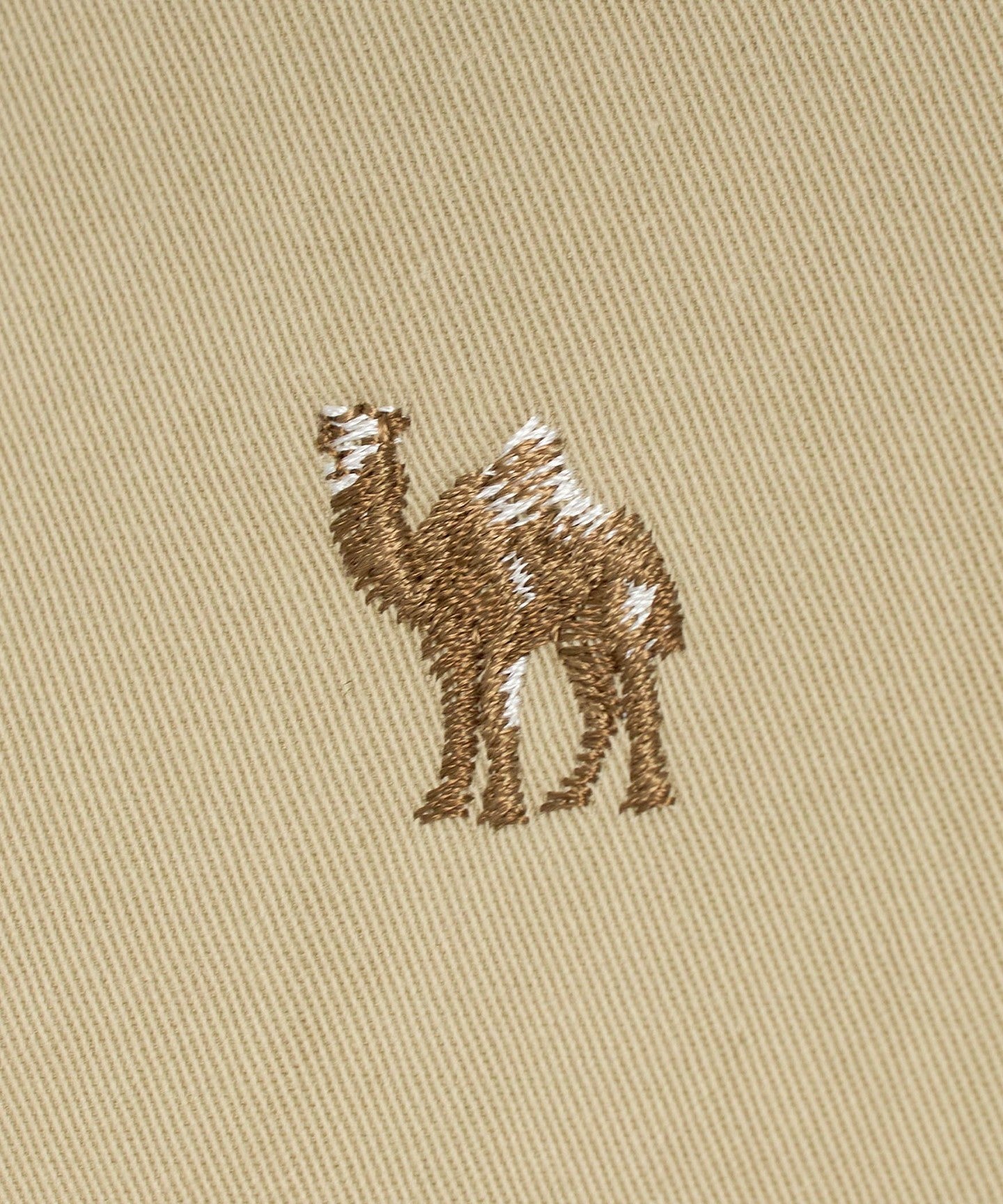 88852000008-d24.jpg