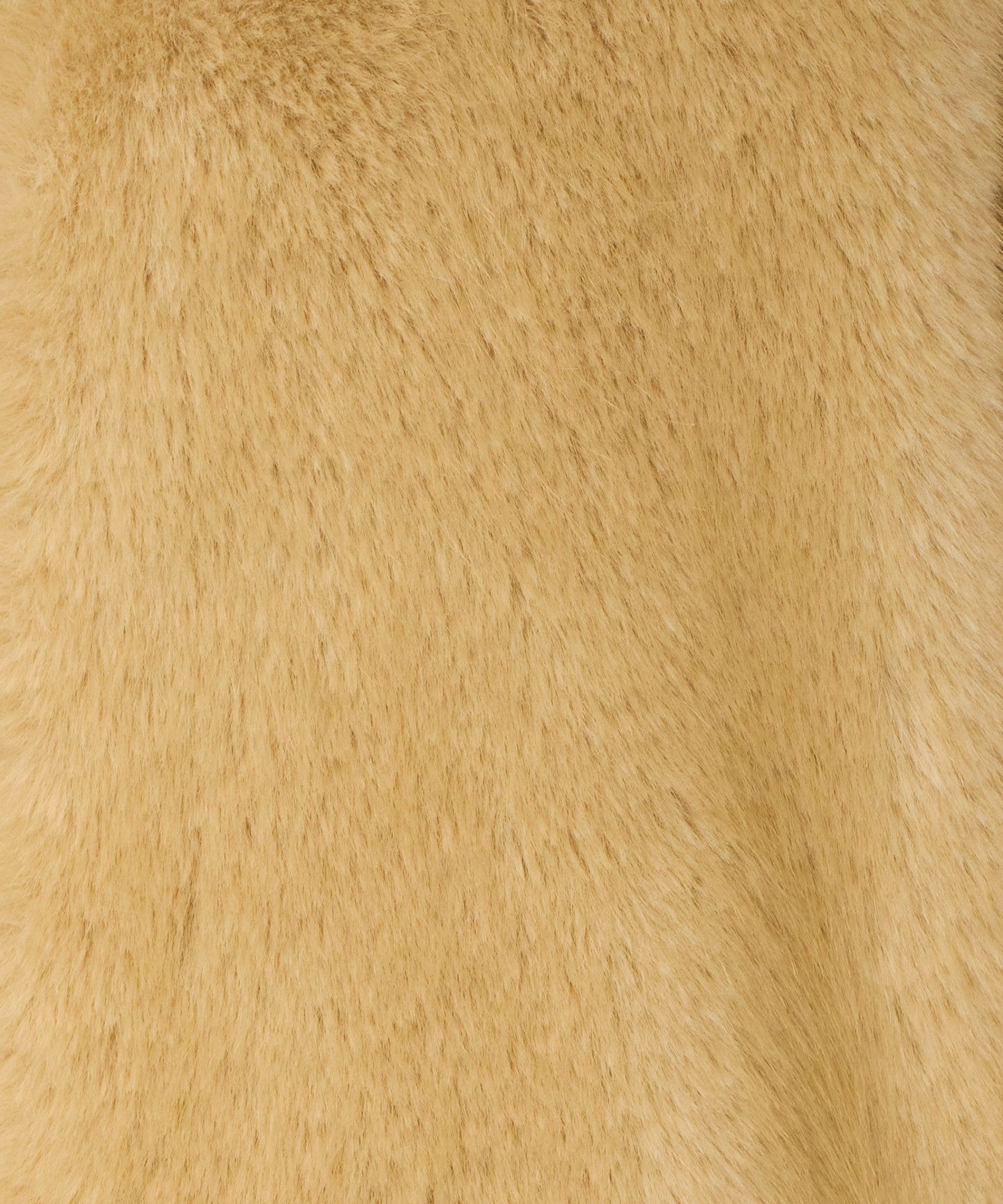 88862000005-d37.jpg
